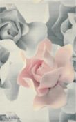 1 x TED BAKER 'Porcelain Rose' Designer Handcrafted Wool Rich Pile Carpet Rug - 170x240 - RRP £1,033