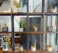 Approx 30 x Planters