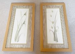 2 x Framed Art Prints Entitled 'Grass Panels' by Chris Paschke (2579 A+B) - CL1020 - NO VAT ON THE