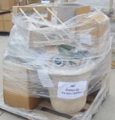 1 x Assorted Pallet Job Lot From A Premium Garden Retailer: Solid Wood Shoe Unit, Lighting, Planters