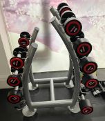 1 x Professional Gym Dumbbell Stand with a Selection of Dumbbells