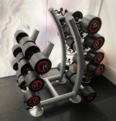1 x Professional Gym Dumbbell Stand with a Selection of Dumbbells