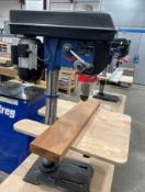 1 x Scheppach DP18Vario Drill Press - RRP £420.00 - Ref: LB135 - CL1019 - Location: Waltham