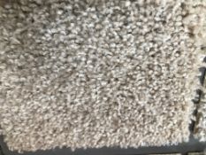 1 x Roll Of Apollo Ridge Twist Pile Carpet - Colour: Sandstone - 60 Square Meters - RRP £1,900.