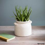 2 x Ravello Pot With Handles - White - RRP £52.00 - Ref: GTC265/GTC2C11 - CL1017 - Location: