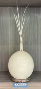 1 x Genuine Ostrich Egg Decorative Vessel with O-Ring Base - Ref: LB376 - CL1020 - NO VAT ON THE