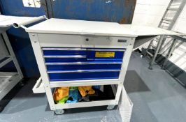 1 x BiGDUG Rolling Tool Cabinet Featuring 4 drawers, a Top Storage Compartment, Swivel Caster