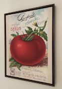 1 x Large Framed Art Print of the Front Cover of the 1914 Burpee's Annual Seed Catalog - Ref: