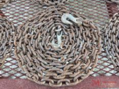 CHAIN W/ 2 HOOKS