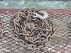 CHAIN W/ 2 HOOKS