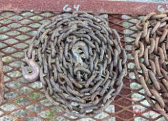 CHAIN W/ 2 HOOKS