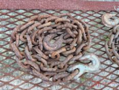 CHAIN W/ 2 HOOKS