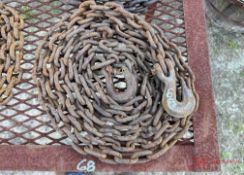 CHAIN W/ 2 HOOKS