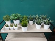 13 x Artificial Plants