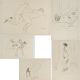Hans Boehler - Bild 1 aus 6