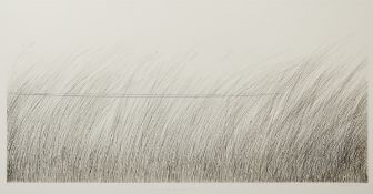 Johannes Haider