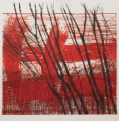 Johannes Haider