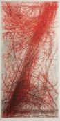 Johannes Haider