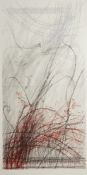 Johannes Haider