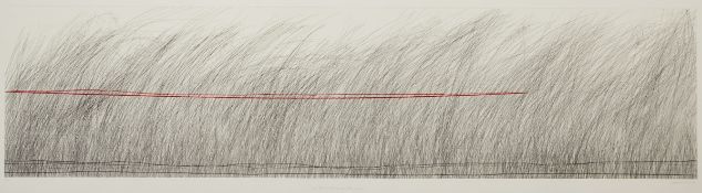 Johannes Haider