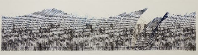 Johannes Haider