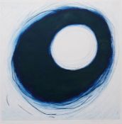 Johannes Haider