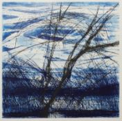Johannes Haider