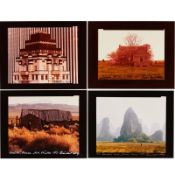 Reinhart Wolf