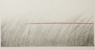 Johannes Haider