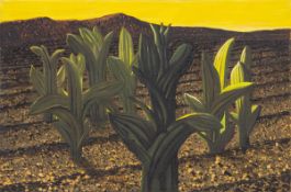 Ernst Marow1934 Königsberg/Neumark - 2018 Kronshagen near Kiel - Cacti - oil on canvas. 30 x 45