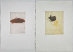 Peter Krawagna1937 Klagenfurt - lives and works in Krumpendorf am Wörthersee Konvolut - 