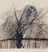Johannes Haider
