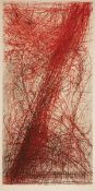 Johannes Haider