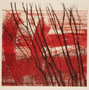Johannes Haider