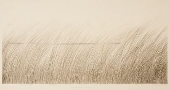 Johannes Haider