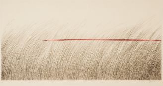 Johannes Haider