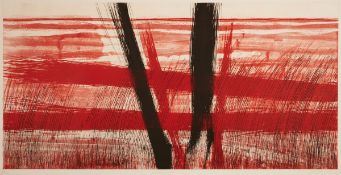 Johannes Haider