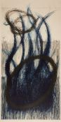 Johannes Haider