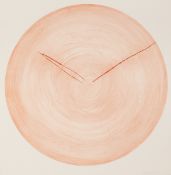 Johannes Haider