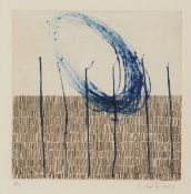 Johannes Haider