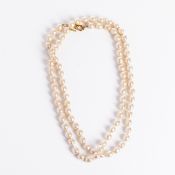 Scherrer-Perlencollier