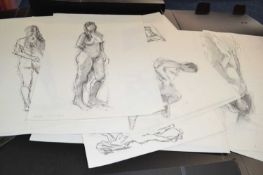 Attributed to Pauline Plummer, a folder of assorted female nude studies, charcoal and graphite on