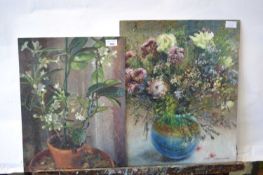 Pauline Plummer, a pair of still life studies of flowers, oils on board, signed, 41 x 51cm,
