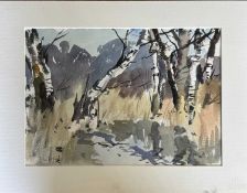 John Tookey (British 20th/21st Century) landscape study, watercolour, signed, 35 x 25cm Staining