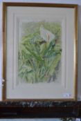 Pauline Plummer, Flora study, pencil on paper, laid on board, signed in pencil and dated 1990,