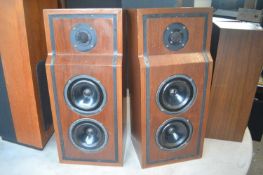 A pair of Audio Master MLS 5 speakers