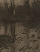 Edward Steichen, The Pool