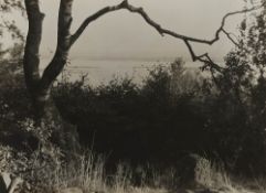 Albert Renger-Patzsch, Ohne Titel