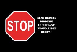 STOP! READ THIS BEFORE BIDDING! IMPORTANT INFORMATION BELOW!
