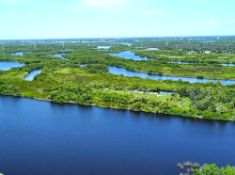 Charlotte County, FL: Wooded Lot Near Shell Creek!